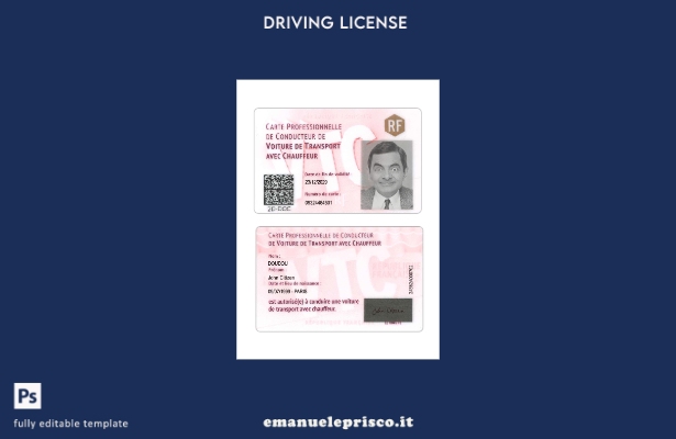 verified style modello di carta di conducente professionale Francia stile verificato template